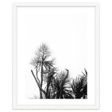 Miminalist Palm thumbnail