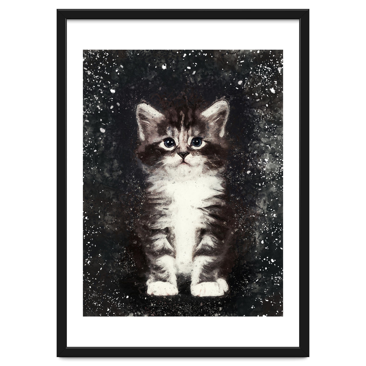 Bicolor Cute Kitten Portrait