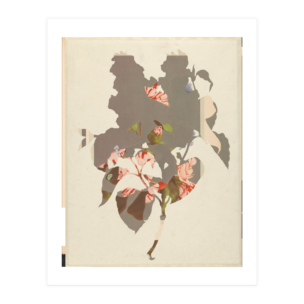 The First Plant · M2 (Print Only)