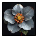 Hellebore | Silver Magic (Print Only) thumbnail