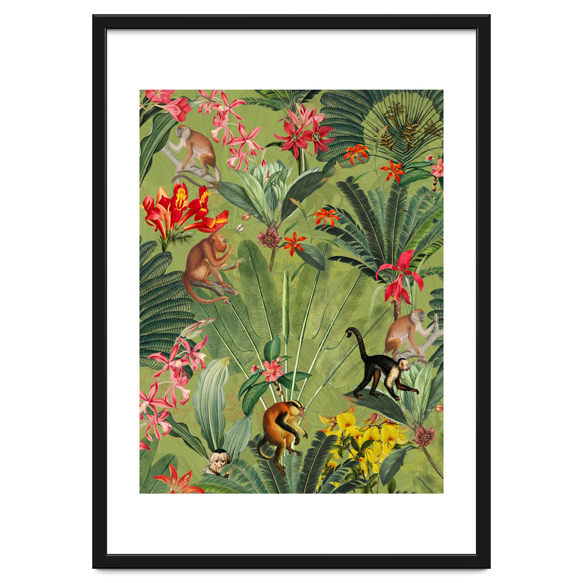 Monkeys In Tropical Jungle Paradise