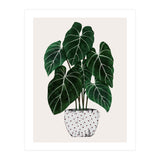 Philodendron Plant (Print Only) thumbnail