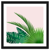 Tropical thumbnail