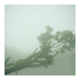 Silence of breath - 07 (Print Only) thumbnail