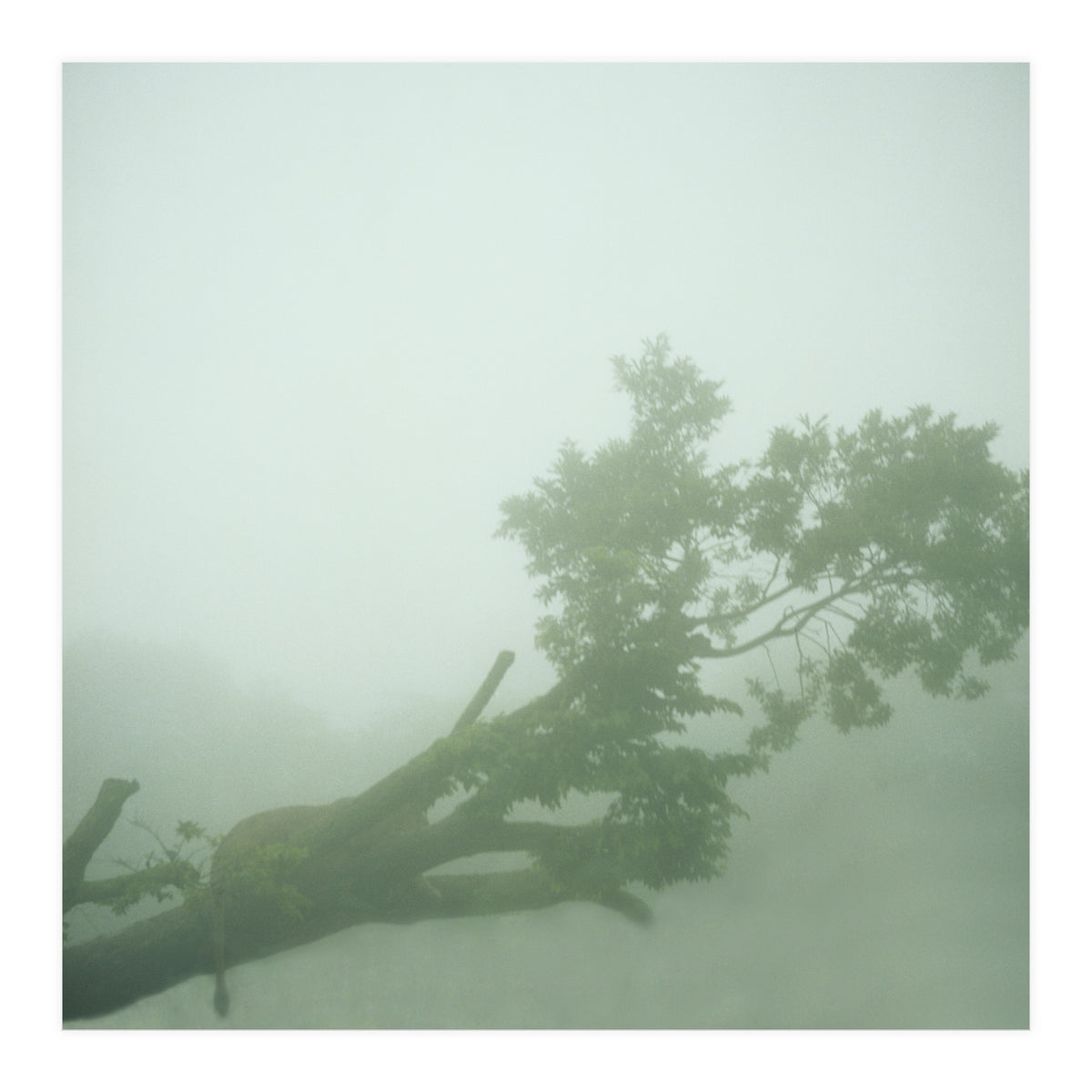 Silence of breath - 07 (Print Only)