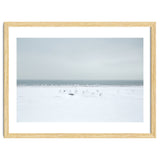 Seagulls in the Snow beach thumbnail