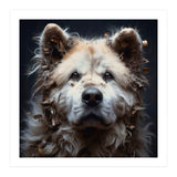 Old Dog 08 (Print Only) thumbnail