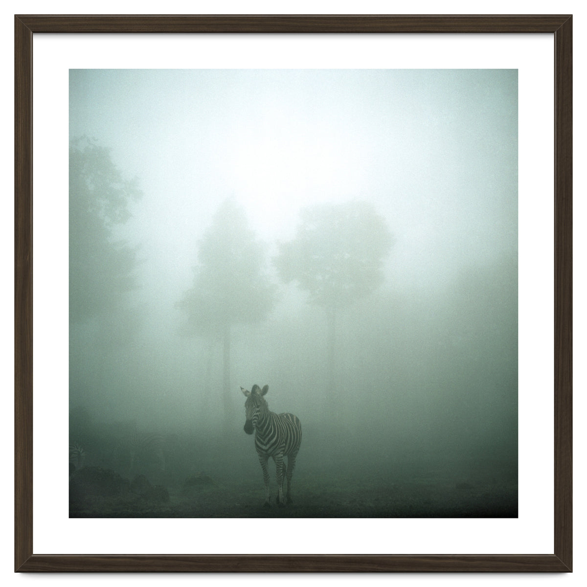 Silence of breath - 01