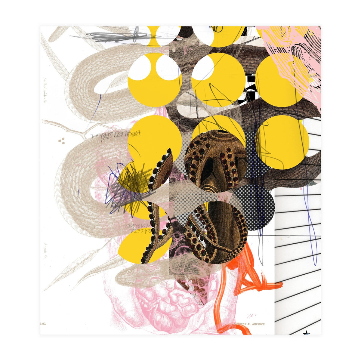 Golden Future Show Dream (Print Only)