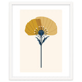 Ochre Half Poppy thumbnail