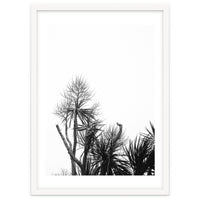 Miminalist Palm