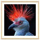 Secretary Bird thumbnail