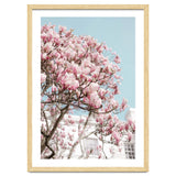 Spring Time thumbnail