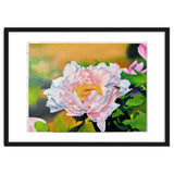 peony thumbnail