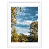 Autumn Evening thumbnail
