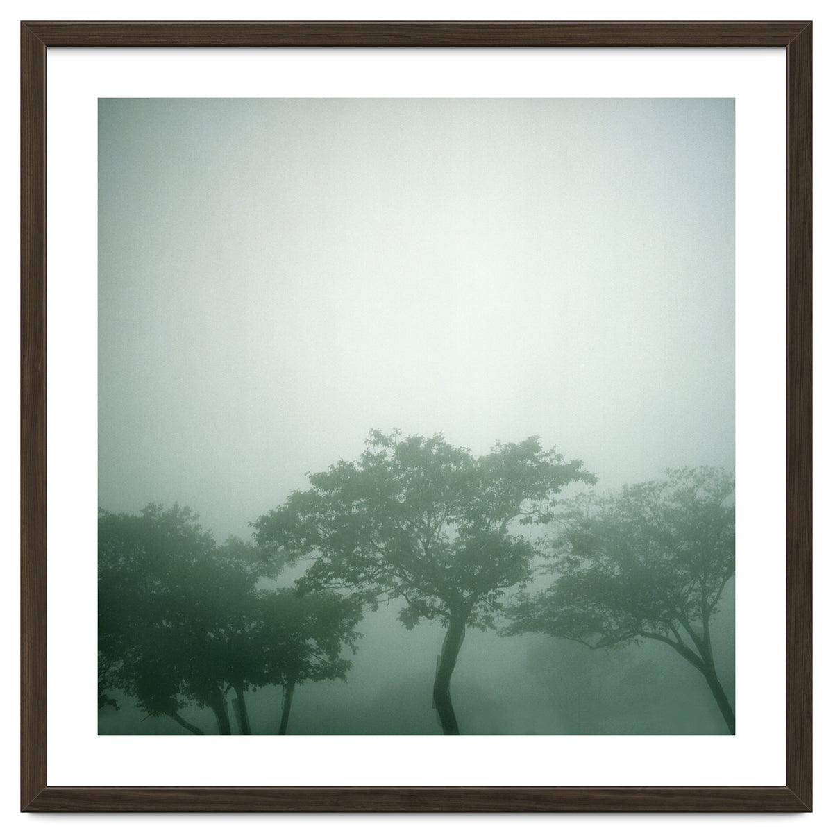 Silence of breath - 17