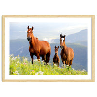 Three Horses
