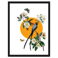 collage floral birds