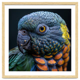Close Up Portrait Of A Colorful Parrot's Face thumbnail