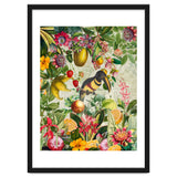 Toucan vintage jungle thumbnail