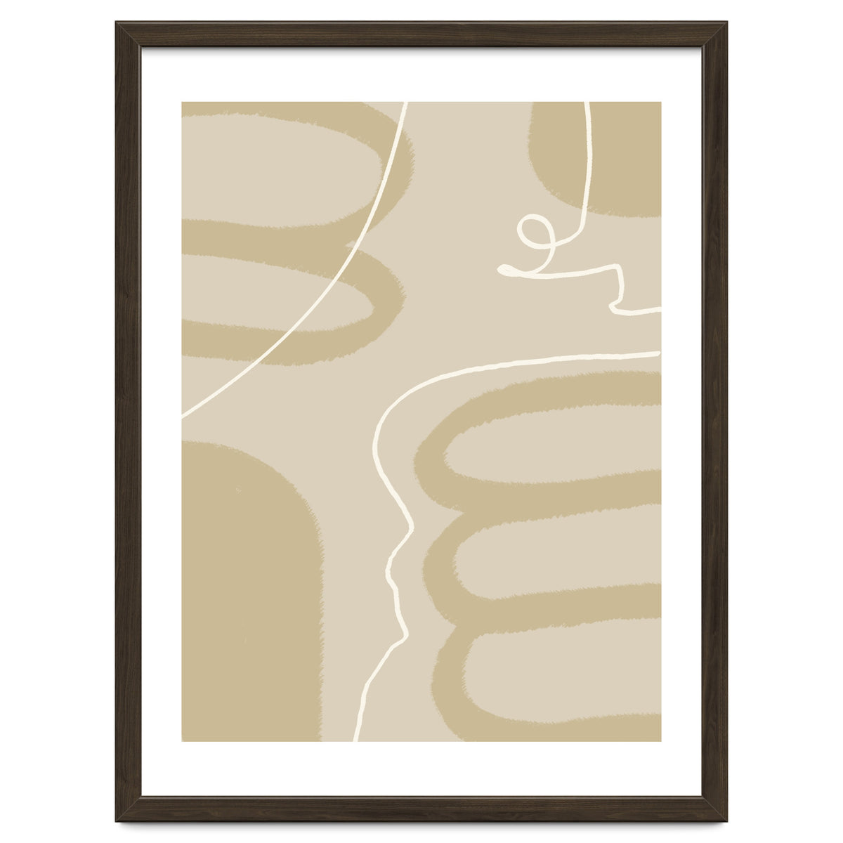 Harmony of Lines and Shapes