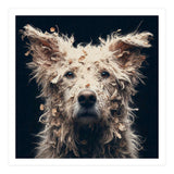 Old Dog 06 (Print Only) thumbnail