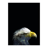 What It A Dream (Print Only) thumbnail