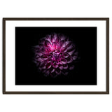 Backyard Flowers No 57 Color Version thumbnail