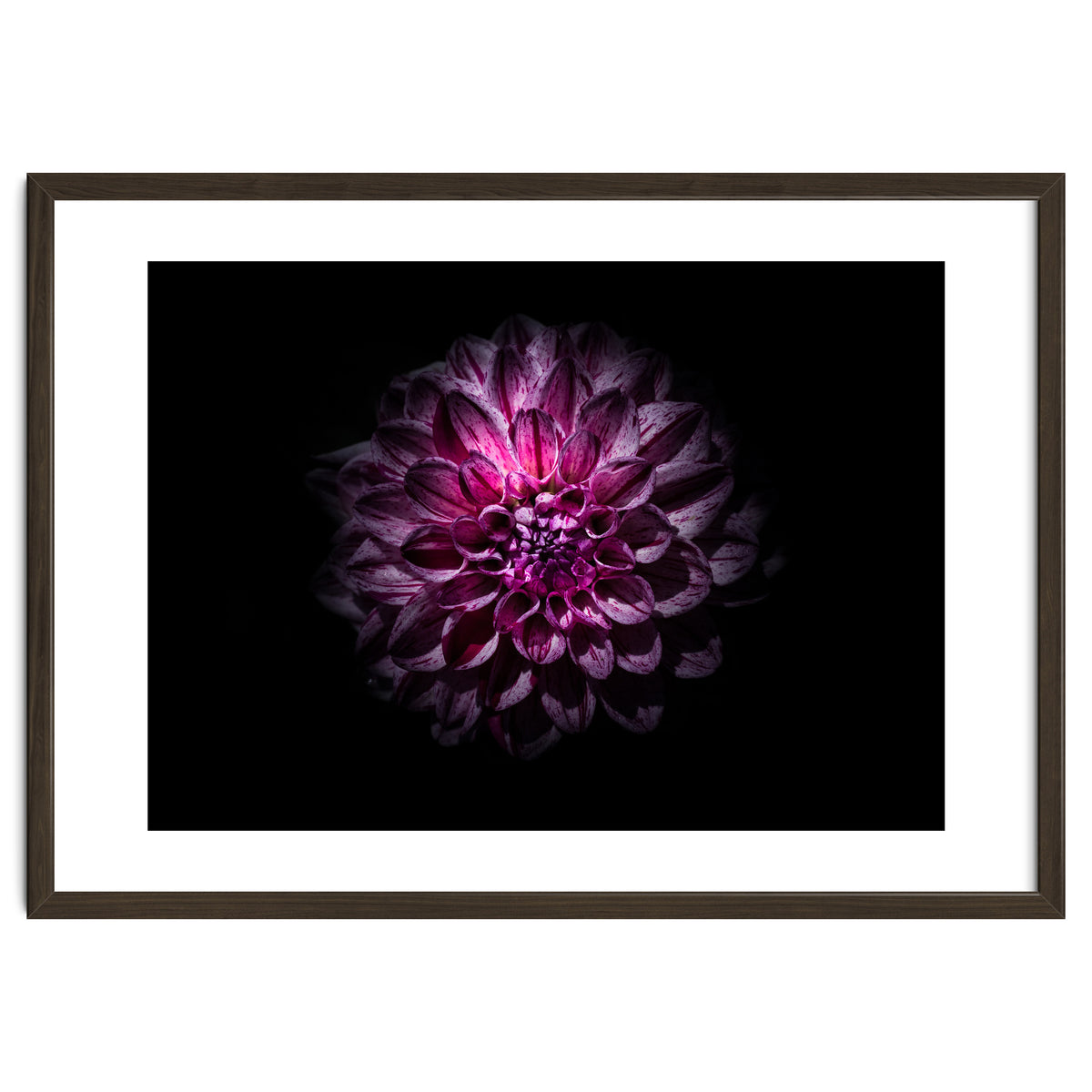 Backyard Flowers No 57 Color Version