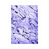 Beauty In Texture (Print Only) thumbnail