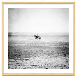 Sea Horse thumbnail