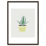 Succulent V1 thumbnail