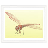 Wings of Transformation thumbnail