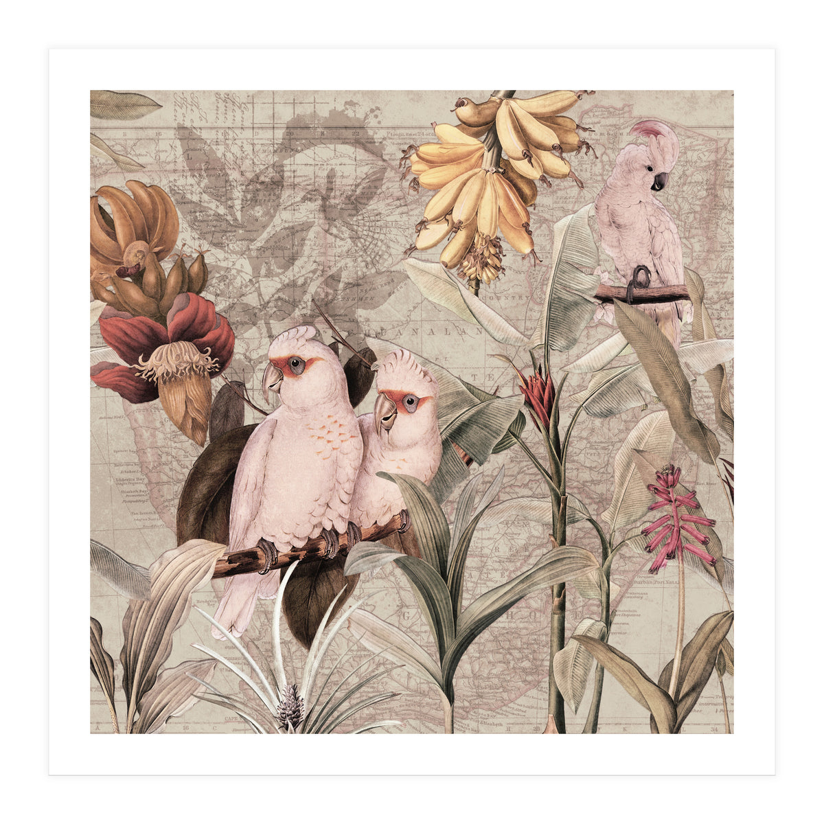 Cockatoo Exotic Bird Jungle  (Print Only)