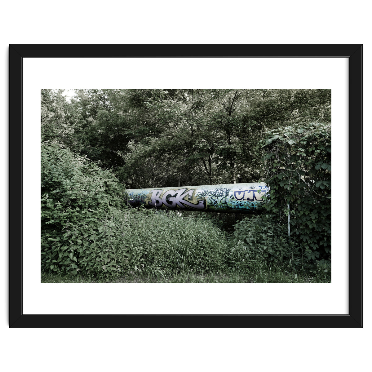 Graffiti pipe among the summer forest