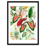 Vintage Bird Of Paradise in Jungle thumbnail