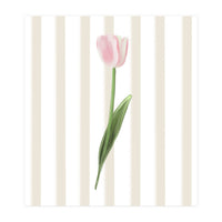 Single Tulip (Print Only)