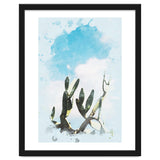 Cactus & Sky thumbnail