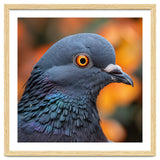 Close Up Of A Pigeon's Head And Neck thumbnail