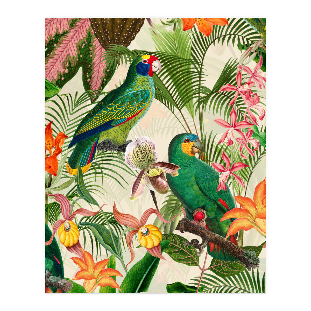 Parrots in tropical Jungle (Print Only)