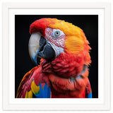 Scarlet Macaw Parrot Close Up Portrait Vivid Colors thumbnail