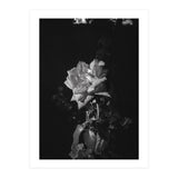 Romantic | Black & White (Print Only) thumbnail
