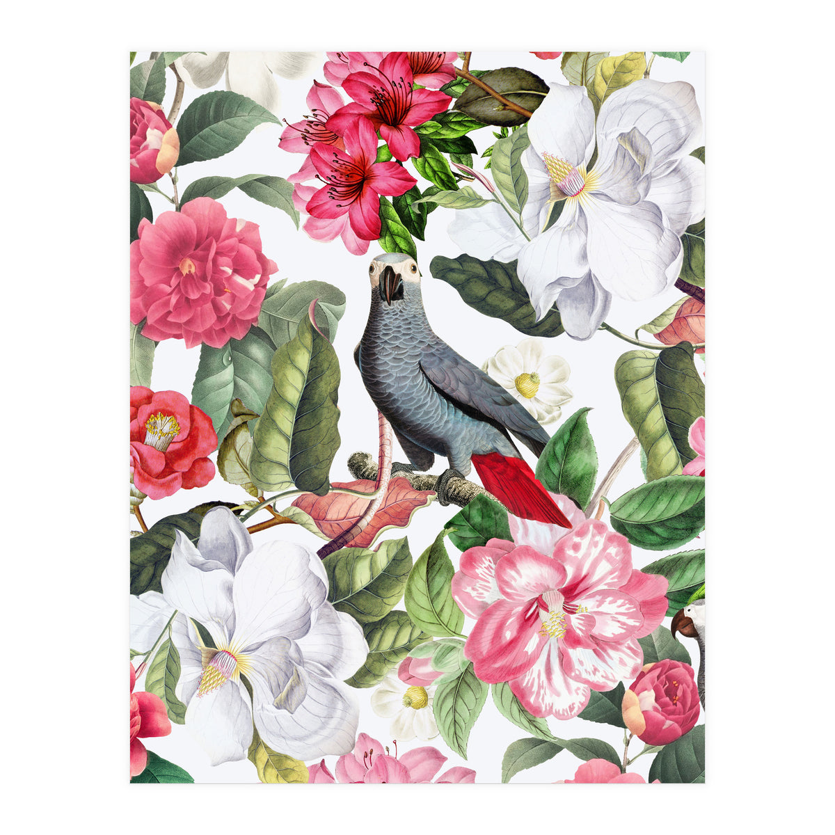 Vintage Cockatoo in Flower Jungle (Print Only)