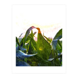 Hope With Abstraction (Print Only) thumbnail