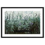 Photography - Summer Garden thumbnail
