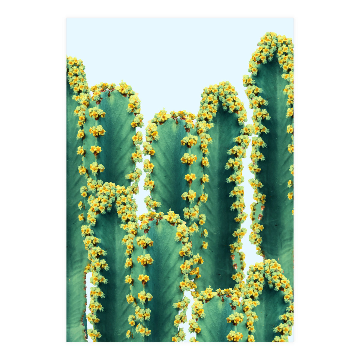 Adorned Cactus #society6 #artprints #buyart (Print Only)