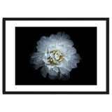 Backyard Flowers No 90 Color Version thumbnail