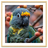 Yellow Headed Amazon Parrot Close Up Portrait thumbnail