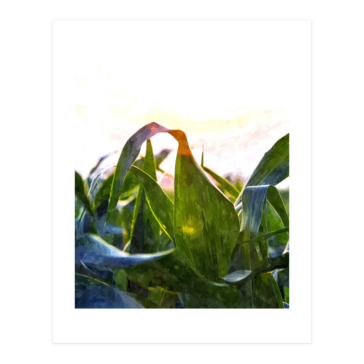 Hope With Abstraction (Print Only)