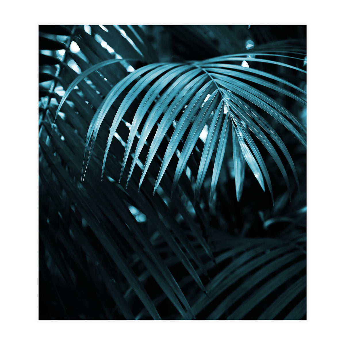 Blue Jungle Palm Ii (Print Only)
